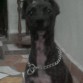 aii que guapaa es mi gordaaaa